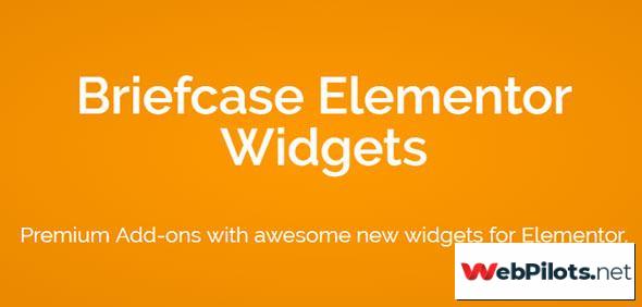 briefcase elementor widgets v1 6 0 nulled 5f7873bc456e8