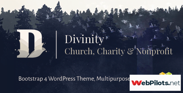 divinity v1 3 4 church nonprofit charity events theme 5f785f73590ab