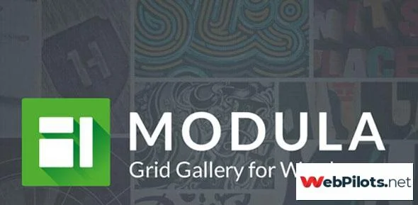 modula pro v2 2 3 best wordpress image gallery nulled 5f7867a438b5c