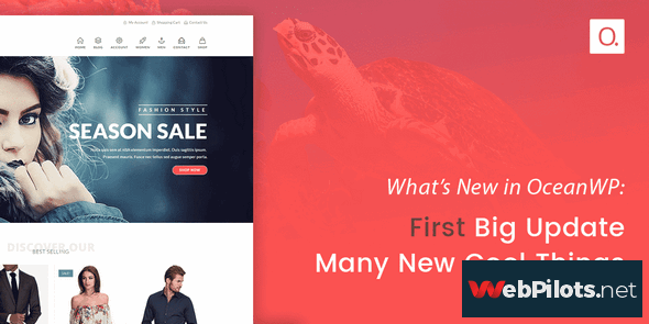 oceanwp v1 7 7 core extensions bundle nulled 5f78713988d4a
