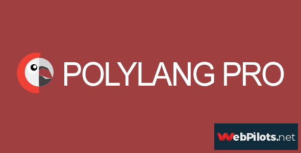 polylang pro v2 7 multilingual plugin 5f78656c853dd