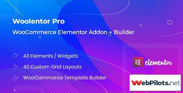 woolentor pro v1 3 3 builder 5f7868a3c294a