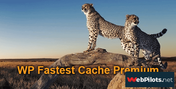 wp fastest cache premium v1 5 7 5f7870f27b899