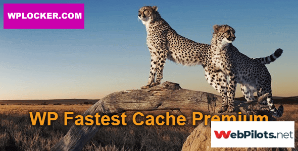 wp fastest cache premium v1 5 9 5f7855eec5991