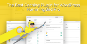 Hummingbird Pro v3.3.1 WordPress Plugin