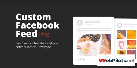 custom facebook feed pro